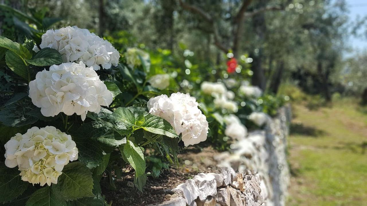 Villa Raf Vico Equense Zewnętrze zdjęcie
