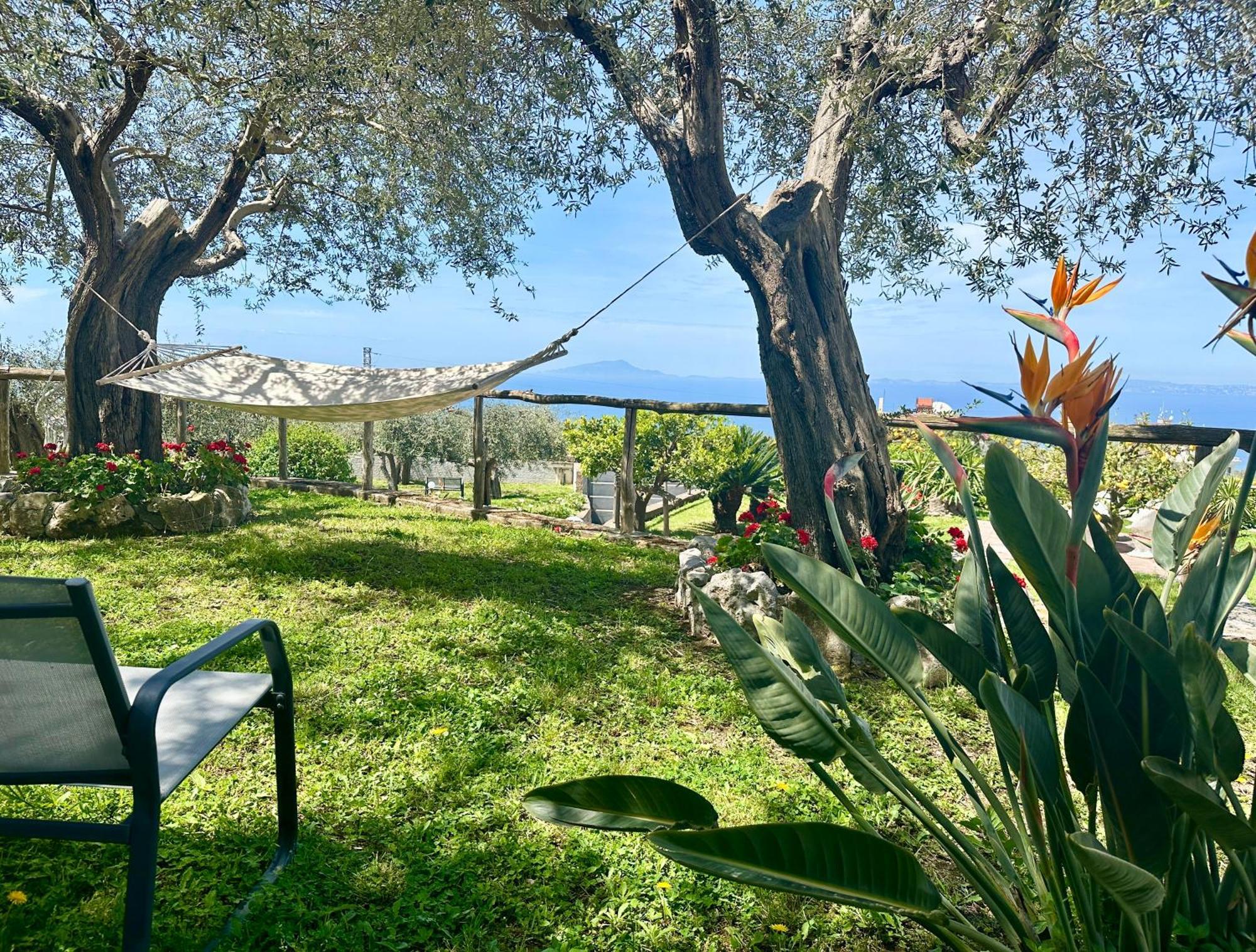 Villa Raf Vico Equense Zewnętrze zdjęcie